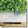 Klimarekulierung im Terrarium mit dem MiniNebler