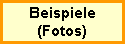 Beeispiele und Fotos rund um den MiniNebler